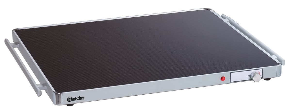 Plaque chauffante WP300 2/1