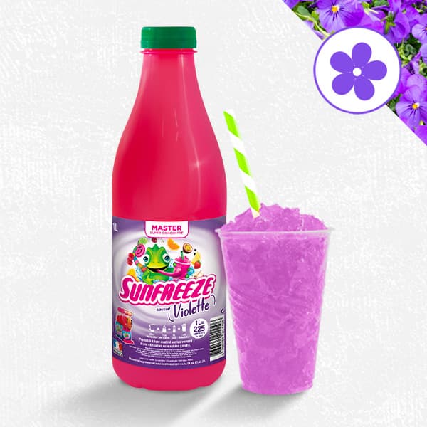 MASTER VIOLETTE